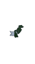 Pakistan Flag