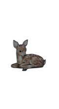 Cute deer