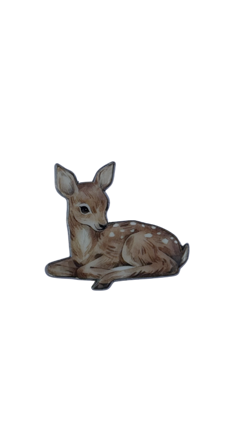 Cute deer